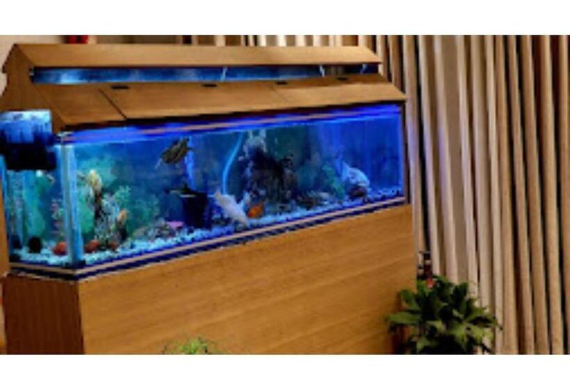 Отель Shri Ram International Varanasi