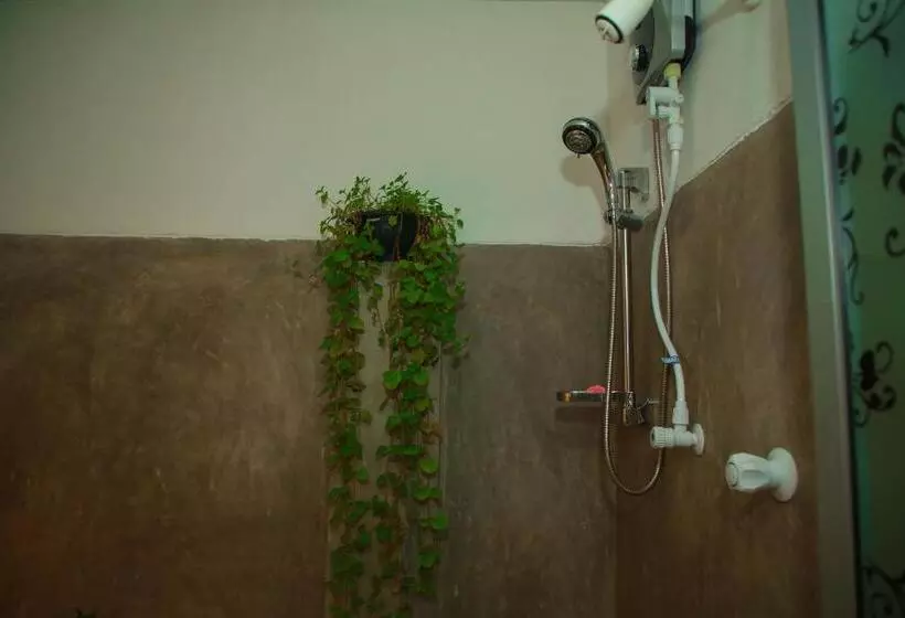 Majatalo Samee Dream Guest