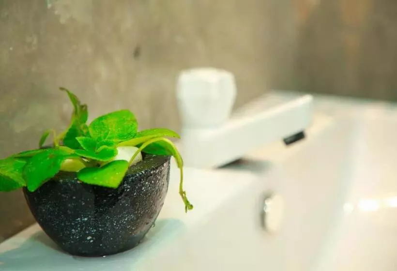 Majatalo Samee Dream Guest