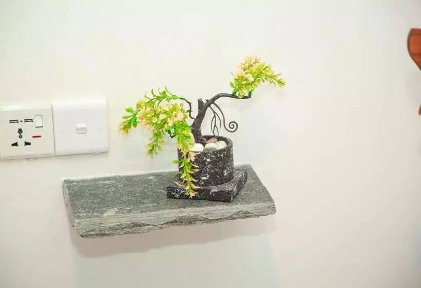 Majatalo Samee Dream Guest