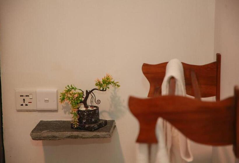 Pensione Samee Dream Guest