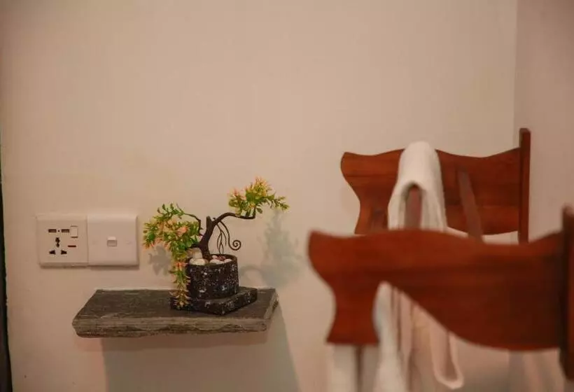 Majatalo Samee Dream Guest