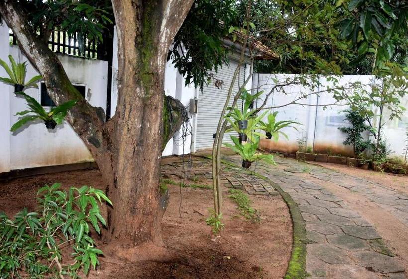 Pension Senasuma Family Rest