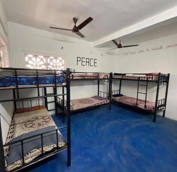 הוסטל T2 By Livelehood Habitat