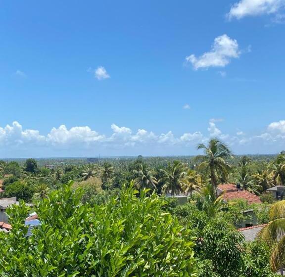 민박 Segar Art Gallery