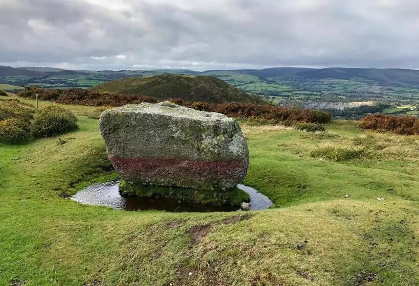 Offa S Dyke Lodge B&b