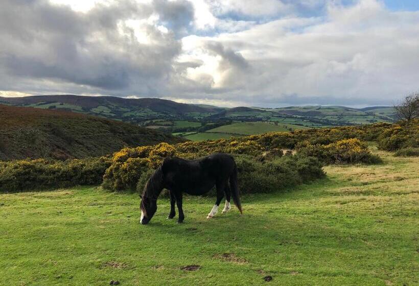 Offa S Dyke Lodge B&b