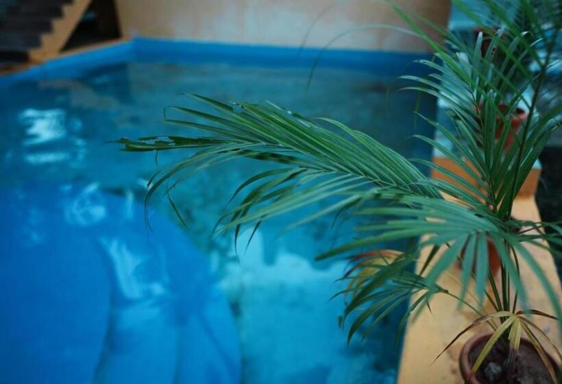 Paradise Feel Dreamy Resort