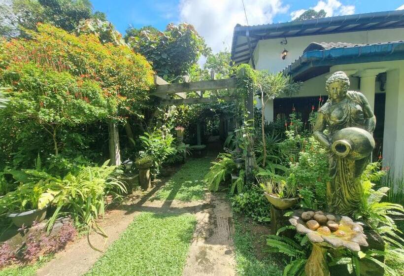 Пансион Miracle Garden