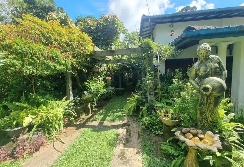 Majatalo Miracle Garden