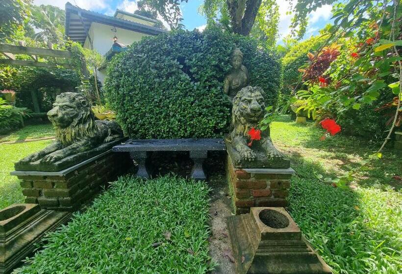 Пансион Miracle Garden