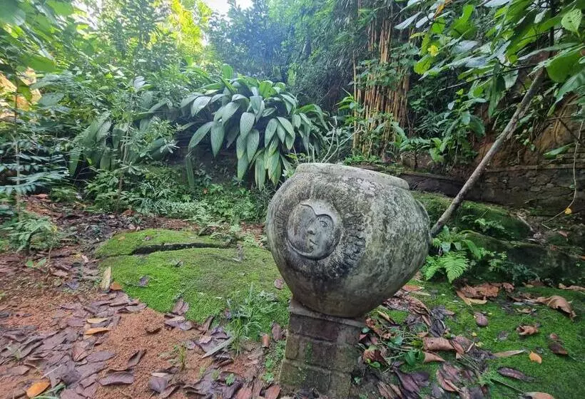 Majatalo Miracle Garden