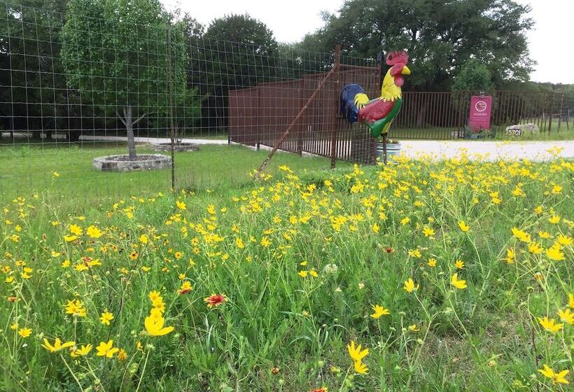 Bellavida B&b And Retreat