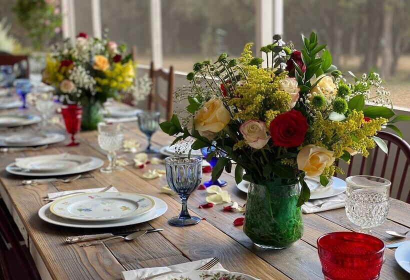 Bellavida B&b And Retreat