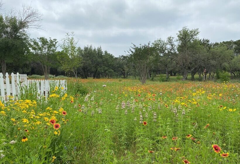 Bellavida B&b And Retreat