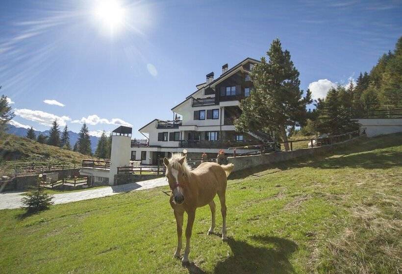 客栈  Residence Stefania