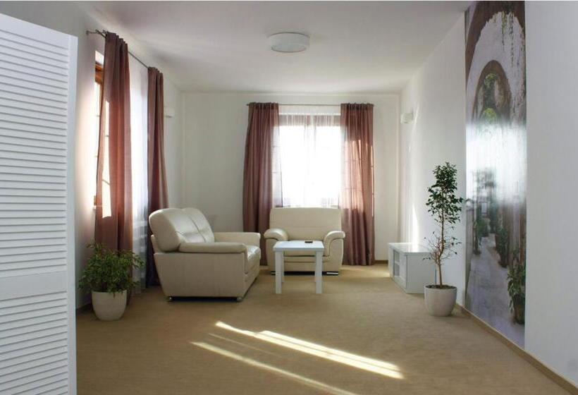 בית מלון כפרי Ambasada