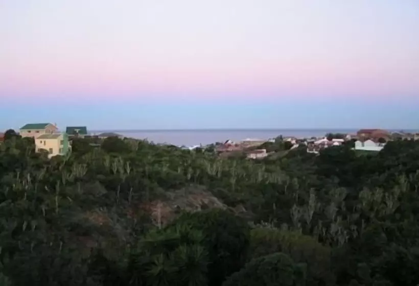Hotelli Dolphin View Guesthouse