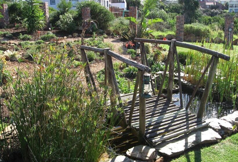 호텔 Dolphin View Guesthouse