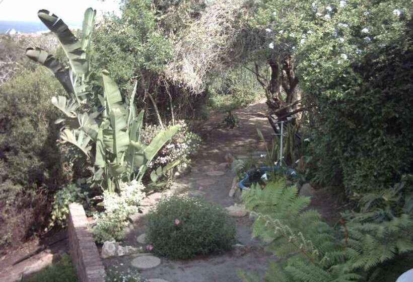 호텔 Dolphin View Guesthouse