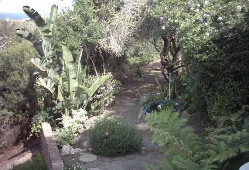 Hotelli Dolphin View Guesthouse