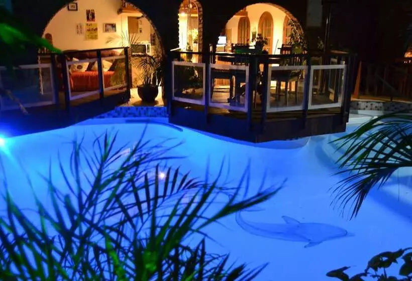 Hotelli Dolphin View Guesthouse