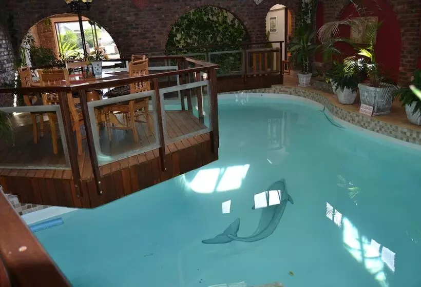 Hotelli Dolphin View Guesthouse