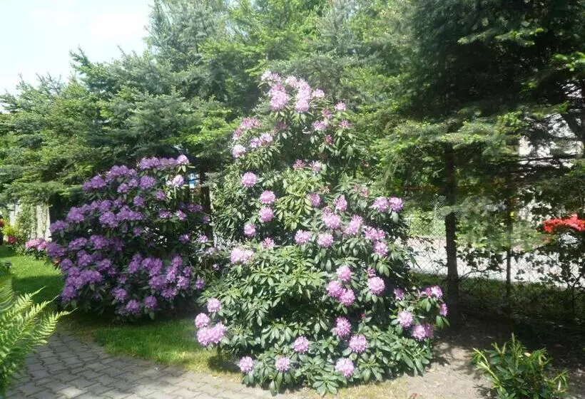 ホテル Dworek Genny