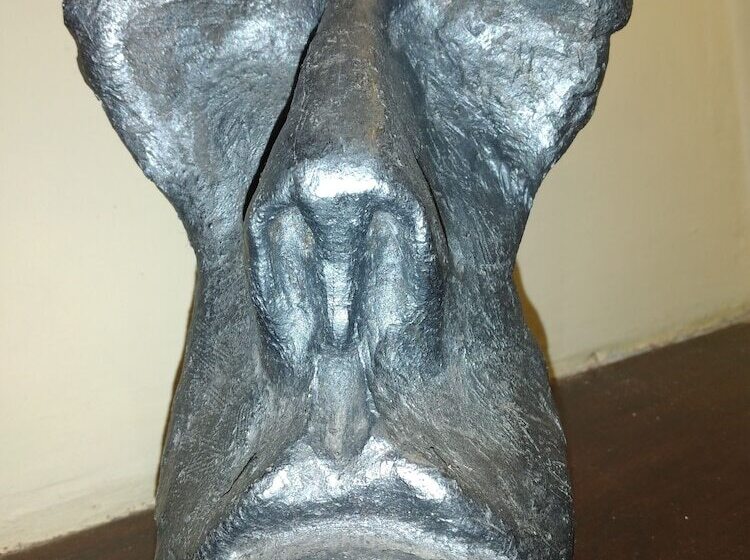 فندق Esperanza & Artemisa Spa