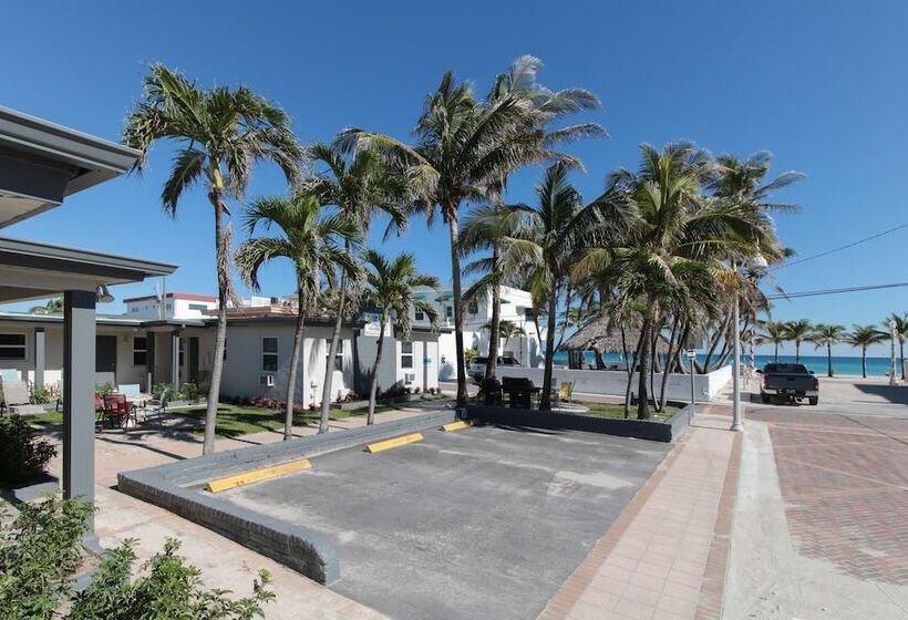 Отель The Dolphin Hollywood