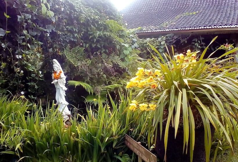 Отель Warung Rekreasi Bedugul