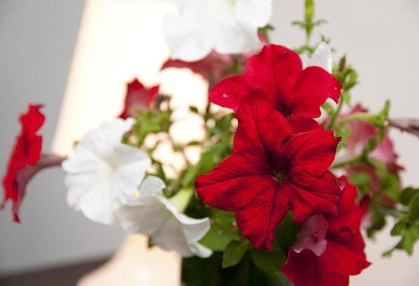 فندق Zajazd Wrocławski