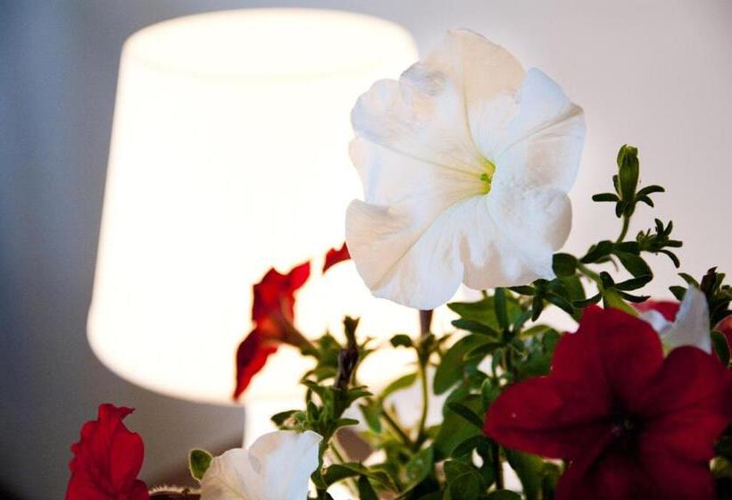 فندق Zajazd Wrocławski