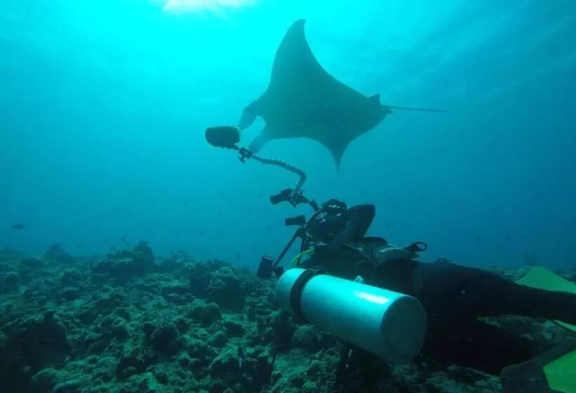 پانسیون Liberty Guest House Maldives