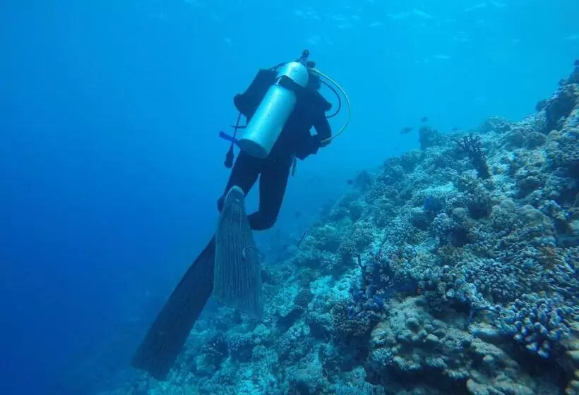 پانسیون Liberty Guest House Maldives