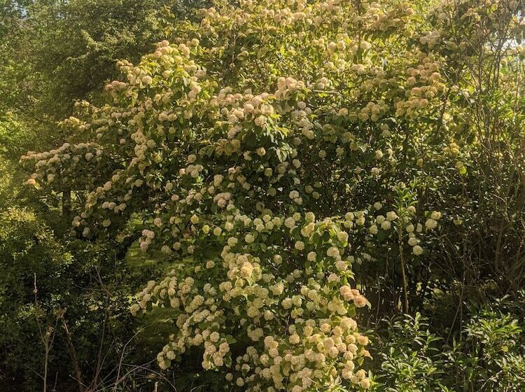 The Anderson Cottage Bed & Breakfast