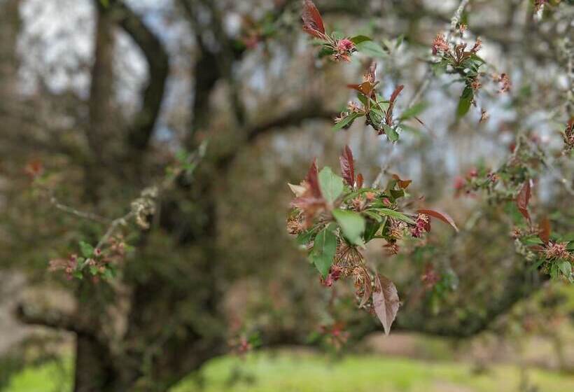 The Anderson Cottage Bed & Breakfast