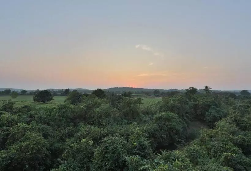 Aaranya Gir Resort
