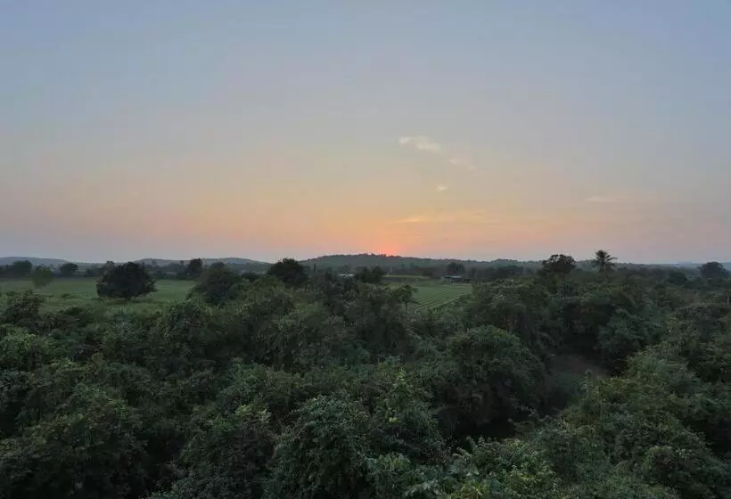 Aaranya Gir Resort