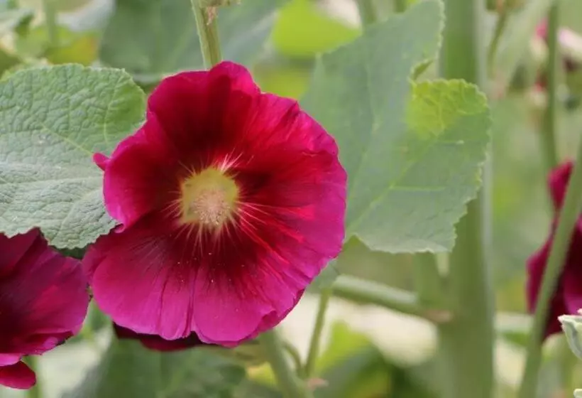 Retkeilymaja Casa Origen