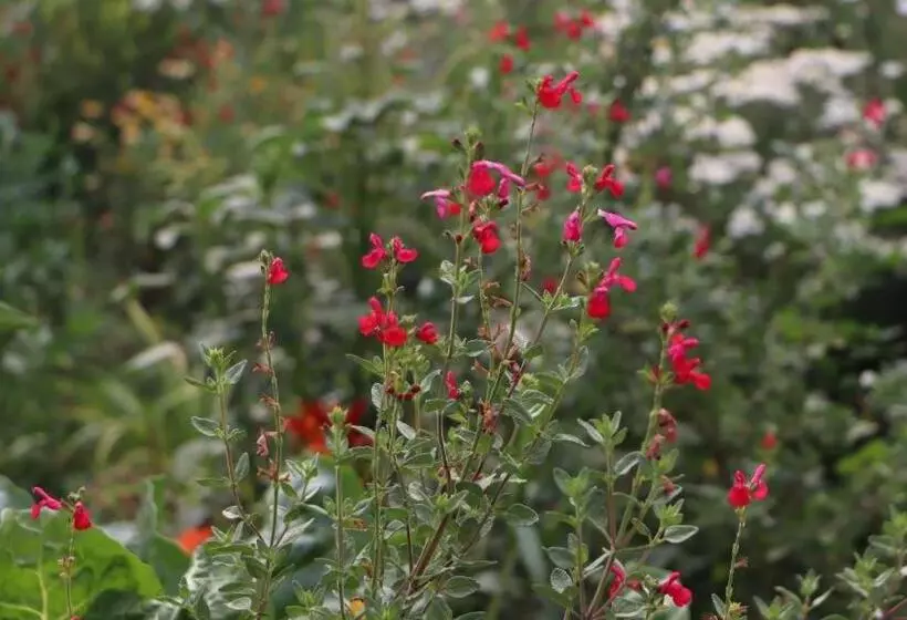 Retkeilymaja Casa Origen