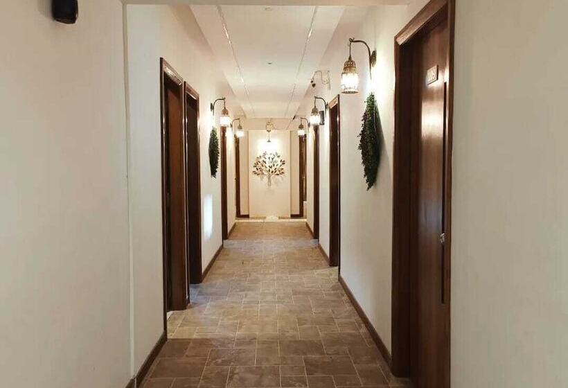 בית מלון כפרי Global