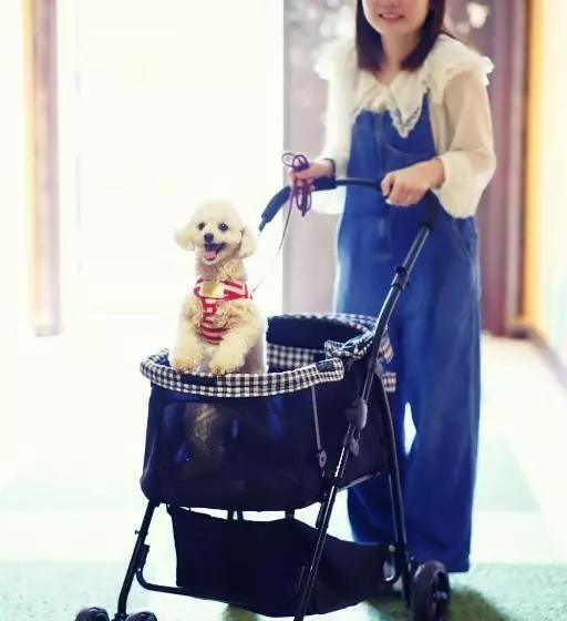 Hotelli Grand Mercure Minamiboso Resort & Spa