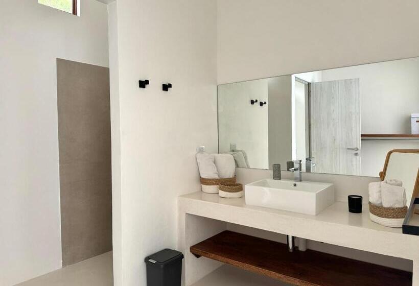 Les Roches   Paradise Retreat