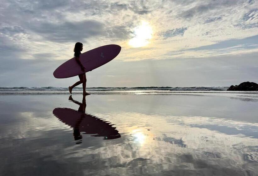 Nalu ホテルナル