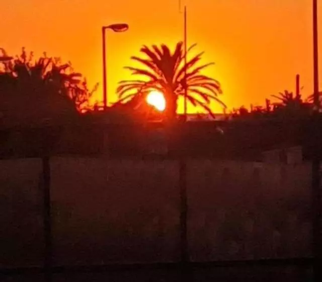 پانسیون Apartmani Sutomore Tri Palme
