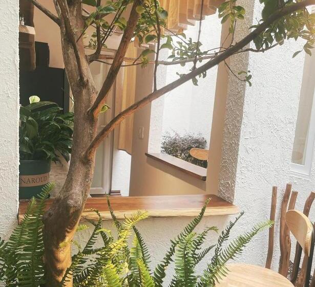 Babahouse2   Homestay Tp Vinh, View Sân Vườn