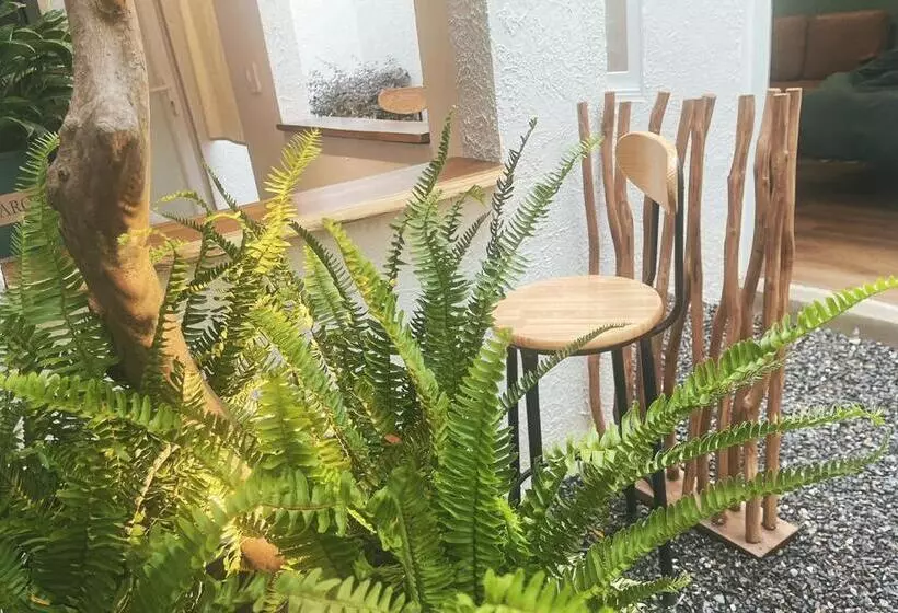 Babahouse2 Homestay Tp Vinh, View Sân Vườn