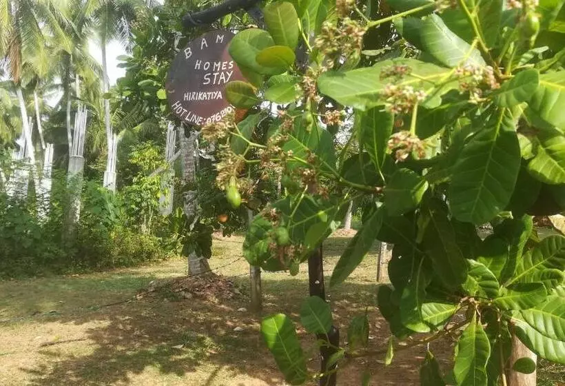 Aamiaismajoitus (B&B) Bamboo Home Stay Hiriketiya