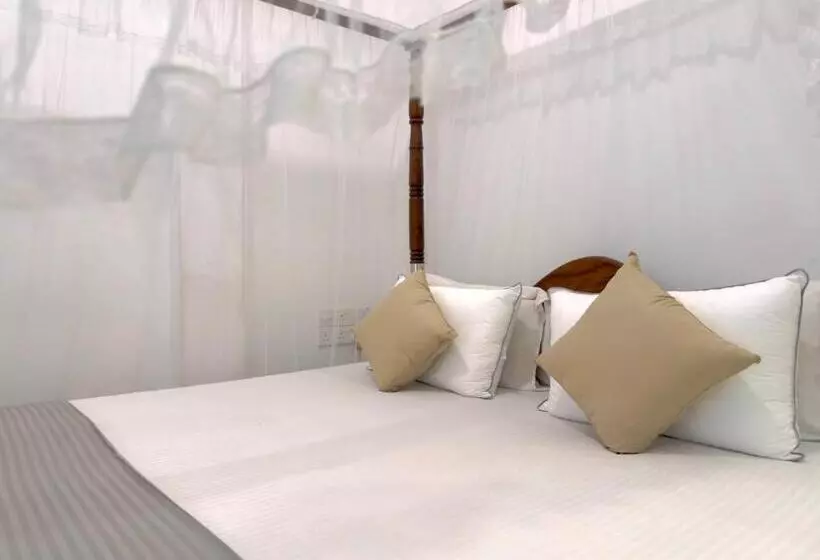 ベッドアンドブレックファースト Dream Paradise   Weligama